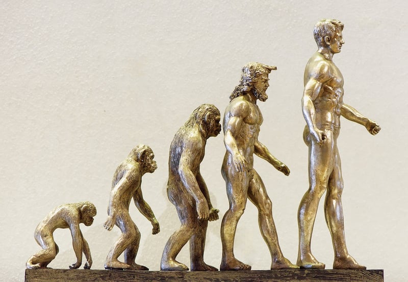 Evolution of Food